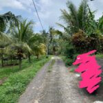 Tanah lokasi strategis lokasi Kerambitan Tabanan (3)