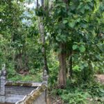 Tanah lokasi strategis lokasi Kerambitan Tabanan (4)