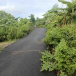 for sale Land in Good Location Sawangan South Kuta close to Sawangan Beach (1)
