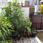 dijual Rumah Semi Furnished Lokasi Kampial Nusa Dua (2)