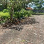 dijual Tanah Kavling di dalam Komplek Summerfield Villa and Residence (3)