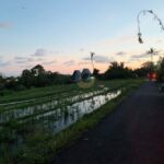 dijual Tanah view Gunung & Sawah di Jalan Batu Mejan Tabanan (1) copy