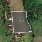 dijual Tanah view Gunung & Sawah di Jalan Batu Mejan Tabanan (5)