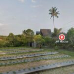 dijual Tanah view Gunung & Sawah di Jalan Batu Mejan Tabanan (6)