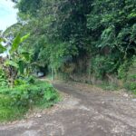 dijual Tanah Super Strategis di Jalan Sekar Sari Sanur (1)