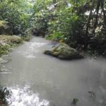 dijual Tanah View Pepohonan dan Sungai lokasi dekat Jatiluwih Penebel (4)