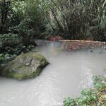 dijual Tanah View Pepohonan dan Sungai lokasi dekat Jatiluwih Penebel (6)