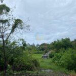 dijual Tanah di Kawasan Villa dekat Pantai Brawa Canggu (2)