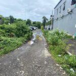 dijual Tanah di Kawasan Villa dekat Pantai Brawa Canggu (7)