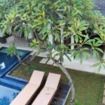for sale 3 Villas + 1 Lumbung Style House in Umalas (3)