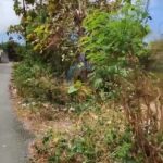 dijual Tanah Kosong di Dekat Jalan Gunung Payung Kutuh (1)