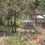 dijual Tanah Kosong di Dekat Jalan Gunung Payung Kutuh (2)