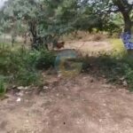 dijual Tanah Kosong di Dekat Jalan Gunung Payung Kutuh (3)