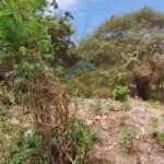 dijual Tanah Kosong di Dekat Jalan Gunung Payung Kutuh (5)