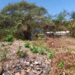 dijual Tanah Kosong di Dekat Jalan Gunung Payung Kutuh (8)