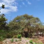 dijual Tanah Kosong di Dekat Jalan Gunung Payung Kutuh (9)